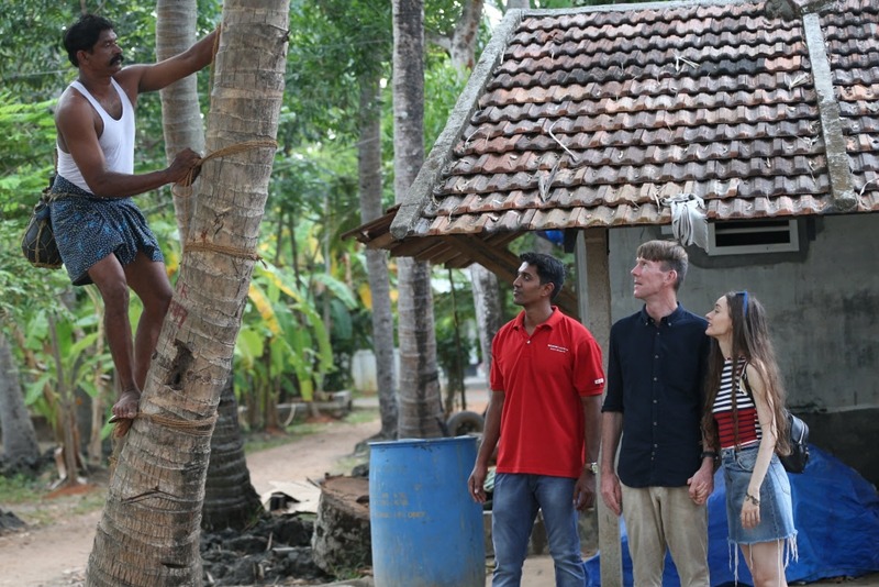 Toddy Tapping