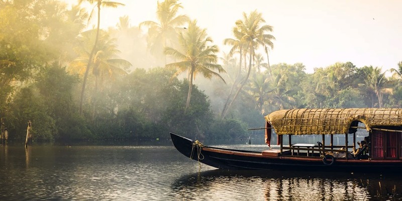 6 Amazing Day Tour options for your Cochin Shore Excursion